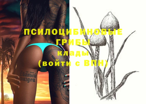 MDMA Краснослободск